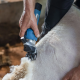FarmClipper cordless clipper for sheep