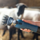Snoerloze FarmClipper-scheermachine voor schapen