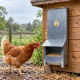 Mangeoire trémie anti gaspillage chick’a