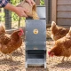 Mangeoire trémie anti gaspillage chick’a