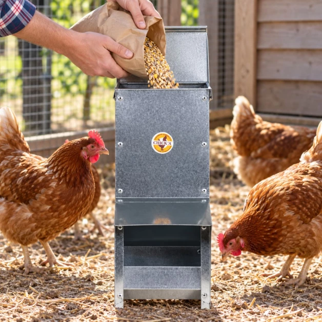Mangeoire trémie anti gaspillage chick’a