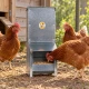 Mangeoire trémie anti gaspillage chick’a