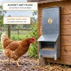Mangeoire trémie anti gaspillage chick’a
