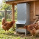 Mangeoire trémie anti gaspillage chick’a