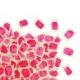 Poison pâte Nora Pasta 25 – 3 kg ou 15 x 10 g