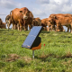 Gallagher solar energizers