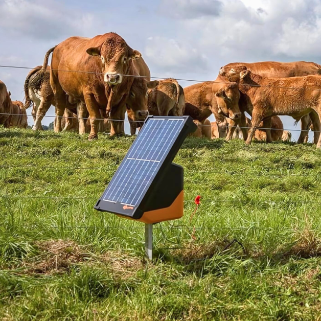 Électrificateurs solaire Gallagher