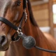 Balle de protection pour attache cheval