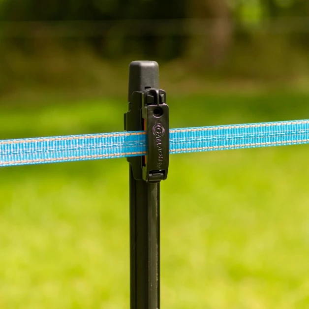Ruban bleu Gallagher 20 mm - 200 m