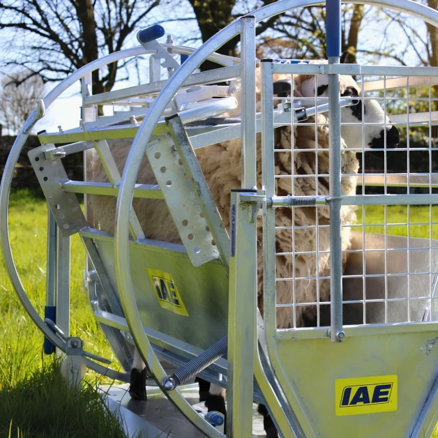 Cage de retournement pour moutons IAE Kwik
