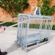 Cage de pesée numérique pour agneaux IAE