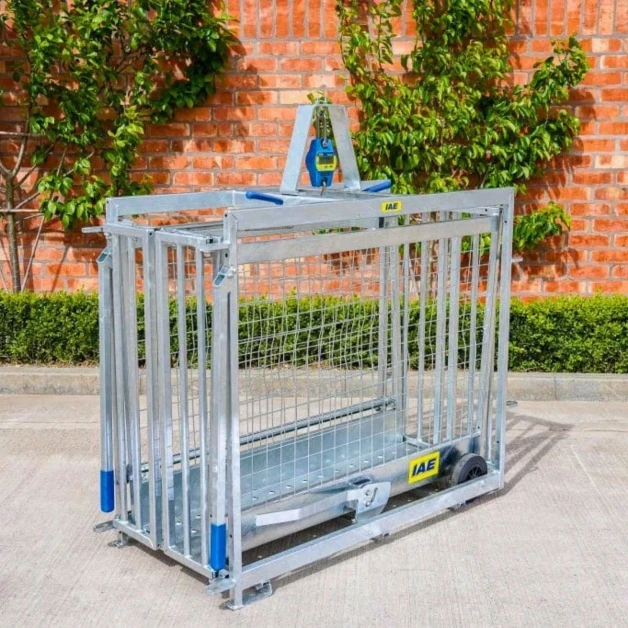 Cage de pesée numérique pour agneaux IAE