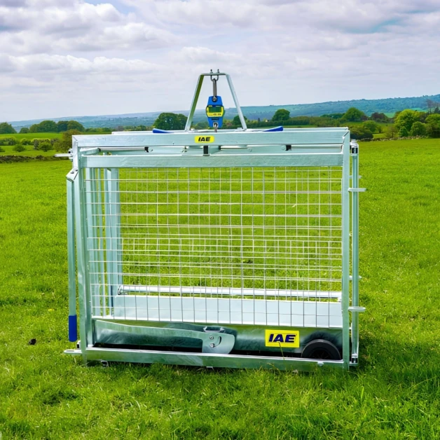 Cage de pesée numérique pour agneaux IAE