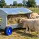 Râtelier à foin sur roues pour moutons IAE – 125 cm