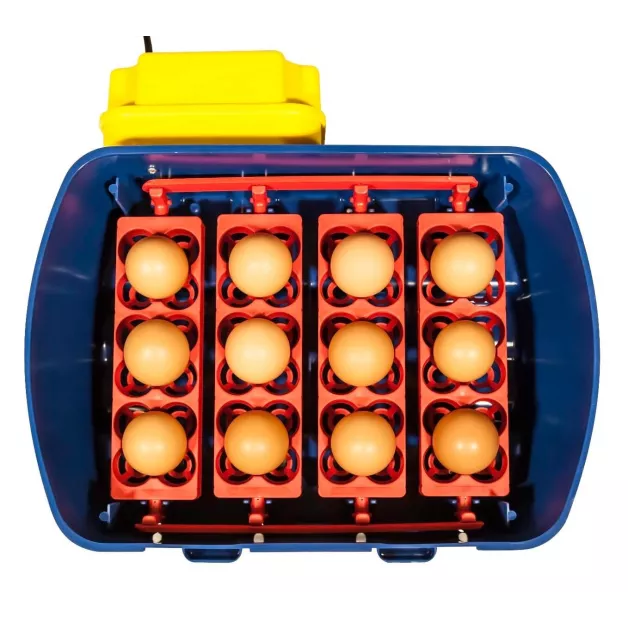 Automatic digital incubator with a maximum capacity of 12 eggs of different sizes. Automatic digital incubator with a maximum capacity of 12 eggs of different sizes.