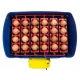 Automatic digital incubator with a maximum capacity of 12 eggs of different sizes.