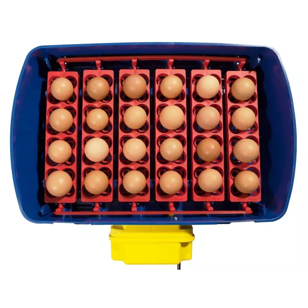 Automatic digital incubator with a maximum capacity of 12 eggs of different sizes. Automatic digital incubator with a maximum capacity of 12 eggs of different sizes.