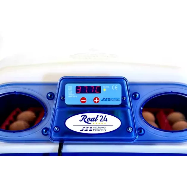 Automatic digital incubator with a maximum capacity of 12 eggs of different sizes. Automatic digital incubator with a maximum capacity of 12 eggs of different sizes.