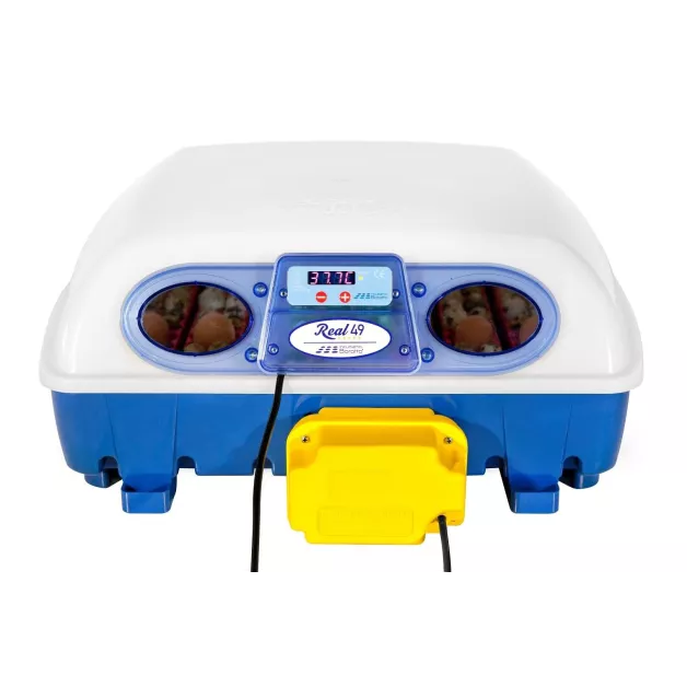 Automatic digital incubator with a maximum capacity of 12 eggs of different sizes. Automatic digital incubator with a maximum capacity of 12 eggs of different sizes.