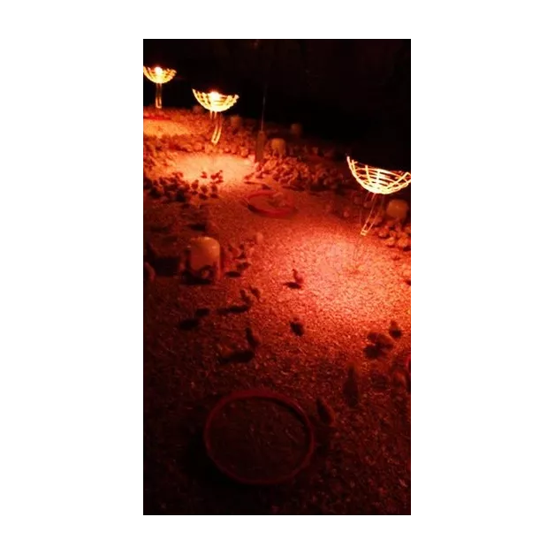 Carbon fiber heat lamp protector Chick’a interheat