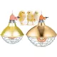 Carbon fiber heat lamp protector Chick’a interheat