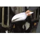 Grain shovel