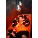 Bescherming infraroodlamp met 5m kabel