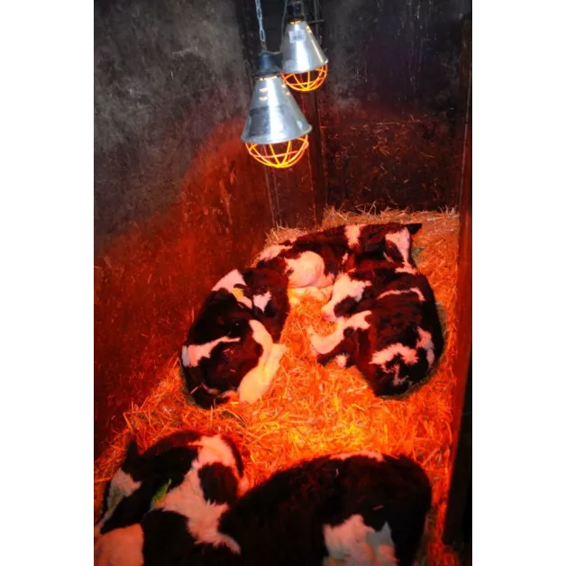 Infrared lamp protection with 5m cable