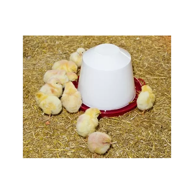 Siphon drinker for poultry in PVC to be placed on the ground