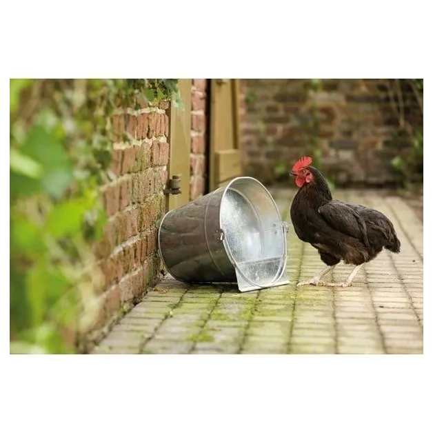 Galvanized inverted bucket waterer Galvanized inverted bucket waterer