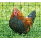 Non-electric double-spike poultry net Kerbl