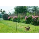 Non-electric double-spike poultry net Kerbl