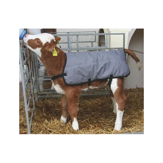 Kalverenjassen Kalverenjassen