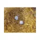 Fake eggs to encourage your hens to lay eggs