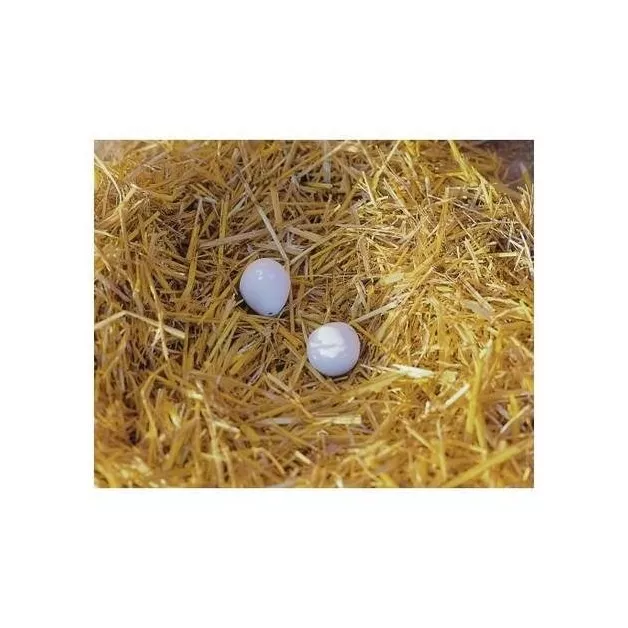 Namaak eieren om de leg van uw kippen te bevorderen. Namaak eieren om de leg van uw kippen te bevorderen.