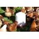 Siphon drinker for poultry in PVC to be placed on the ground