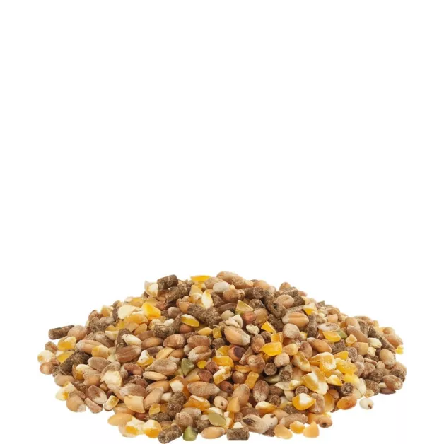 Gold 4 mix layer feed Versele-Laga Gold 4 mix layer feed Versele-Laga
