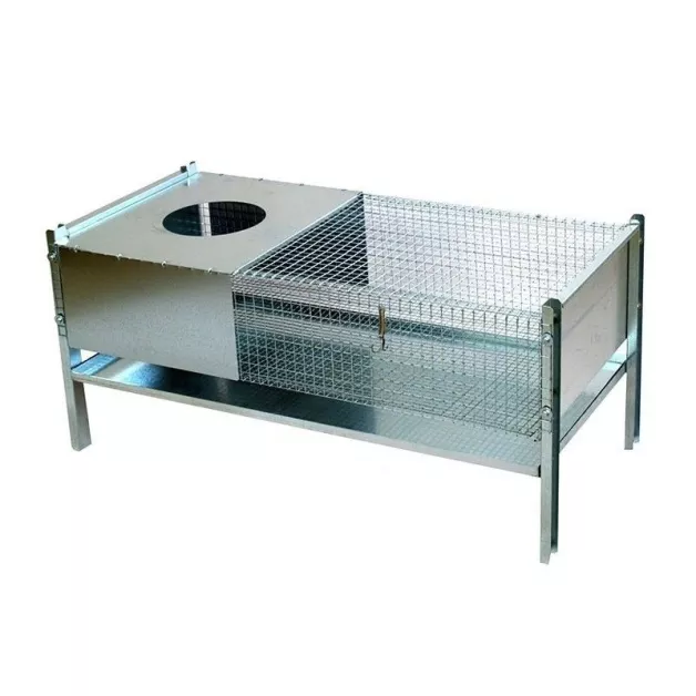 Opfokkooi voor kwartels en kuikens Chick’a