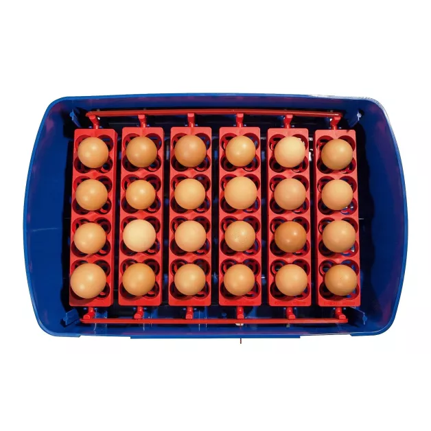Automatic digital incubator with a maximum capacity of 12 eggs of different sizes. Automatic digital incubator with a maximum capacity of 12 eggs of different sizes.