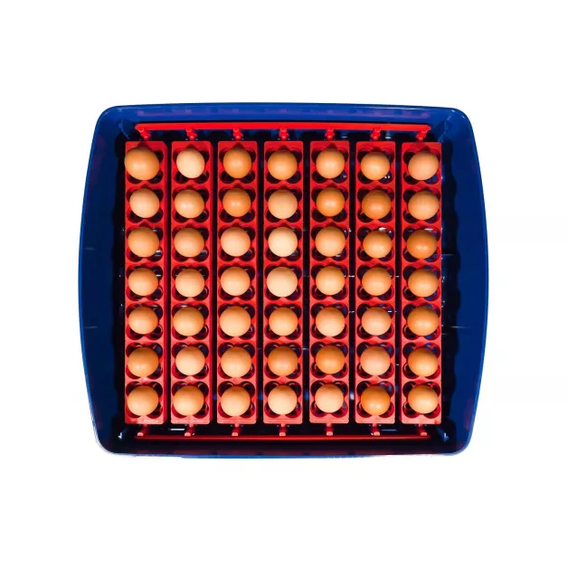 Automatic digital incubator with a maximum capacity of 12 eggs of different sizes. Automatic digital incubator with a maximum capacity of 12 eggs of different sizes.