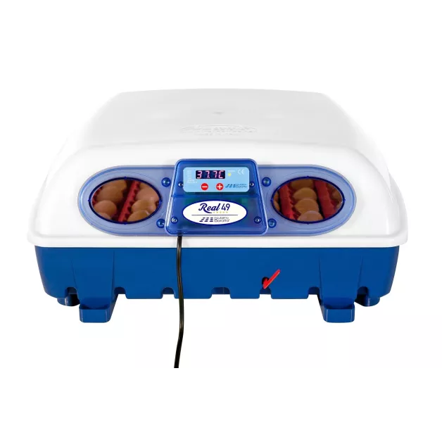 Automatic digital incubator with a maximum capacity of 12 eggs of different sizes. Automatic digital incubator with a maximum capacity of 12 eggs of different sizes.