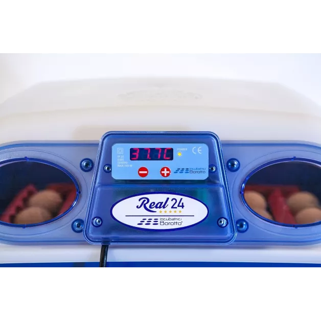Automatic digital incubator with a maximum capacity of 12 eggs of different sizes. Automatic digital incubator with a maximum capacity of 12 eggs of different sizes.