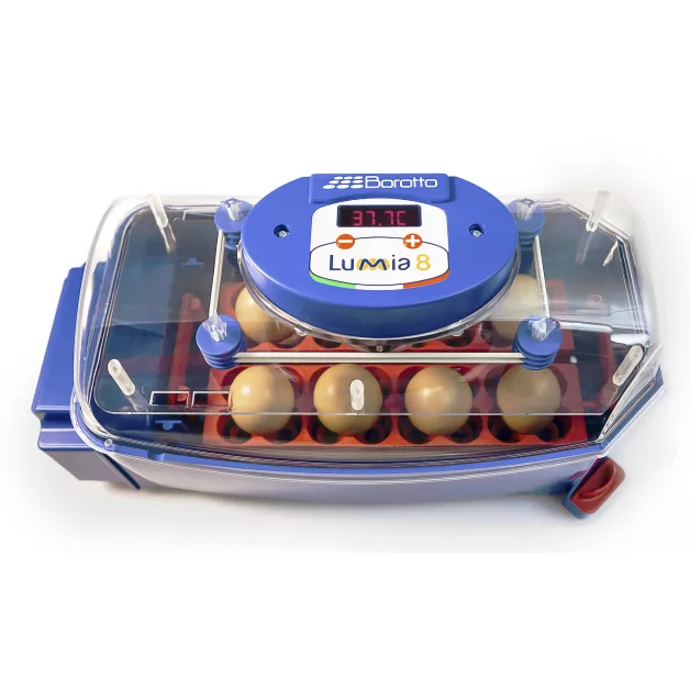 Automatic digital incubator with a maximum capacity of 12 eggs of different sizes. Automatic digital incubator with a maximum capacity of 12 eggs of different sizes.