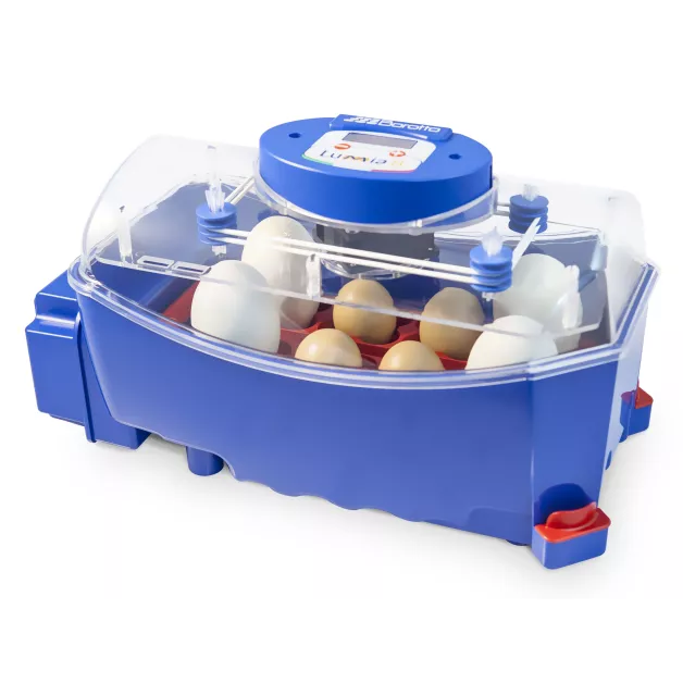 Automatic digital incubator with a maximum capacity of 12 eggs of different sizes.