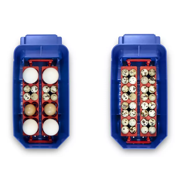 Automatische digitale broedmachine met een maximale capaciteit van 12 eieren van verschillende maten. Automatische digitale broedmachine met een maximale capaciteit van 12 eieren van verschillende maten.