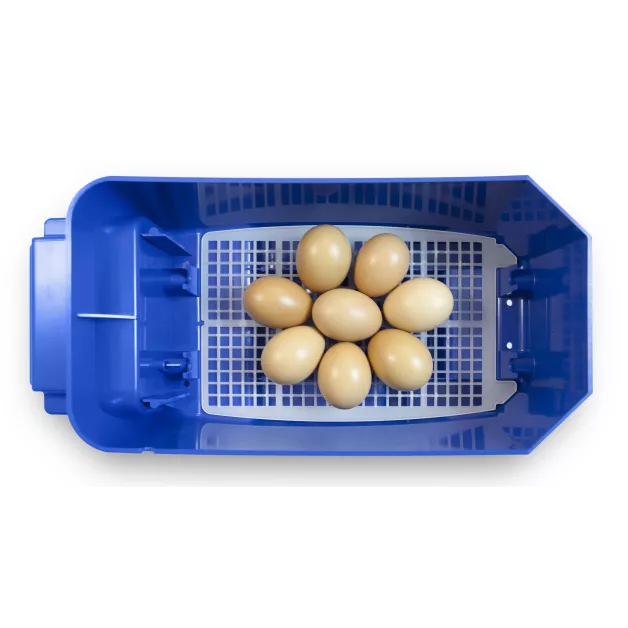 Automatic digital incubator with a maximum capacity of 12 eggs of different sizes. Automatic digital incubator with a maximum capacity of 12 eggs of different sizes.