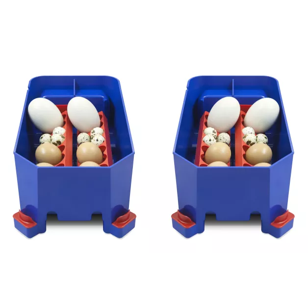 Automatic digital incubator with a maximum capacity of 12 eggs of different sizes. Automatic digital incubator with a maximum capacity of 12 eggs of different sizes.