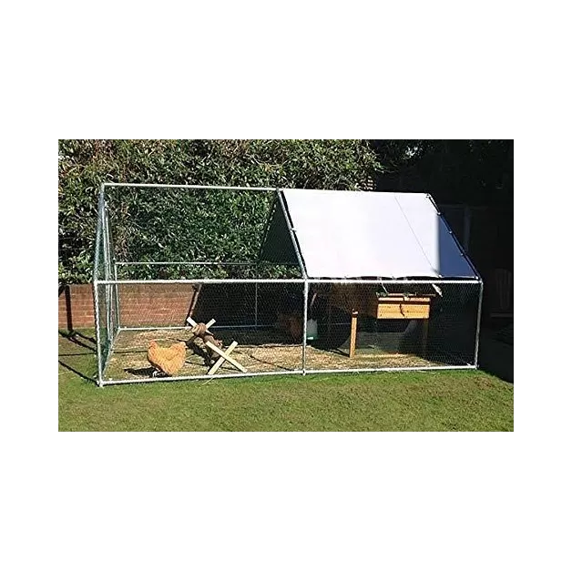 Large enclosure for chickens and other poultry of 12 m²