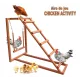 Playground Chicken activity