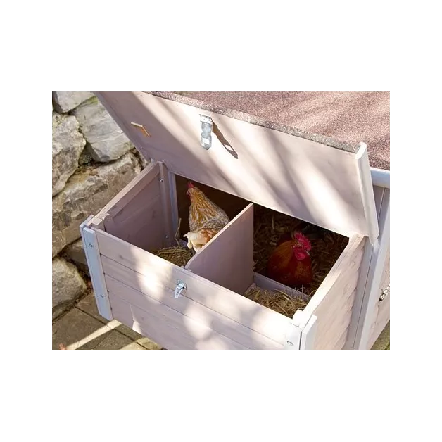 "Emma chicken coop for 2 to 3 hens"